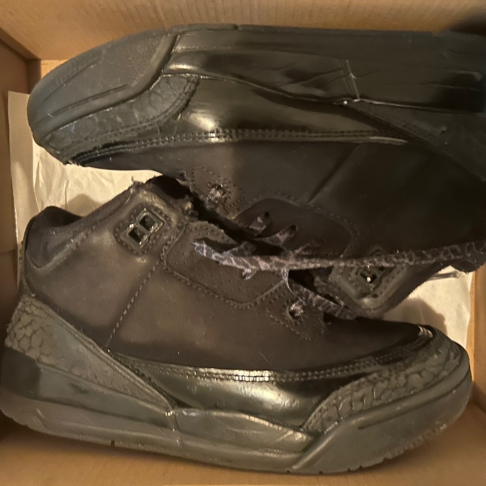 Jordan 3 Retro PS in Black and Gray